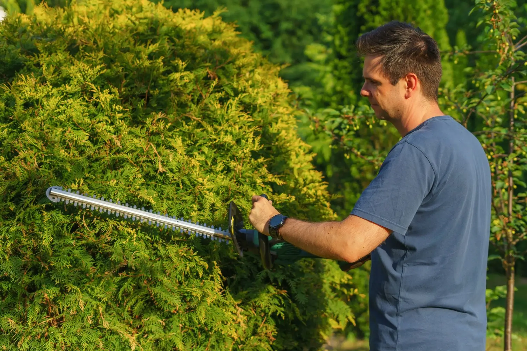 Mitarbeiter schneidet eine Hecke mit der Heckenschere
